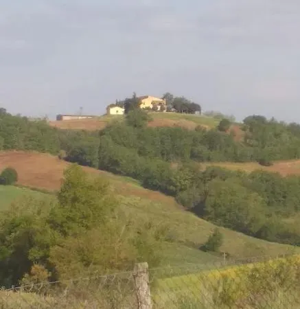 Vacanze Corrado 2 * La Capriola